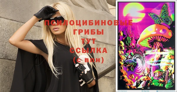 крисы Кинешма