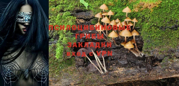 молекула духа Киренск